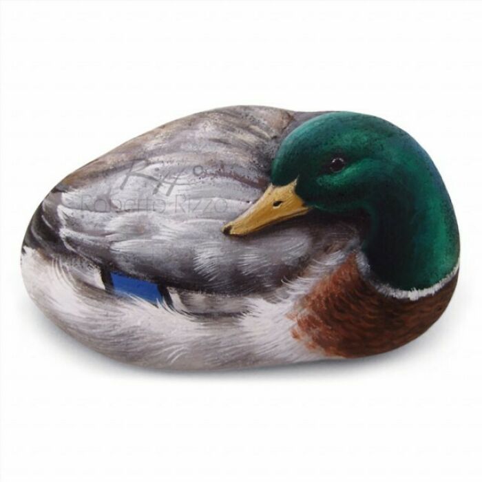 Hand-Painted-Rocks-Stone-Art-Animals-Robertorizzoart