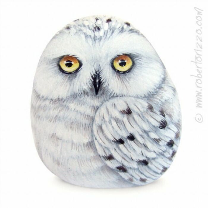 Hand-Painted-Rocks-Stone-Art-Animals-Robertorizzoart