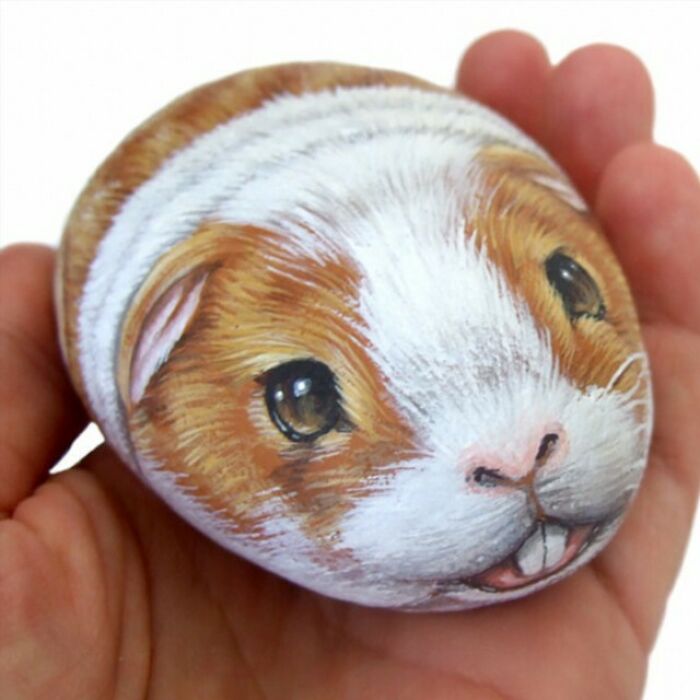 Hand-Painted-Rocks-Stone-Art-Animals-Robertorizzoart