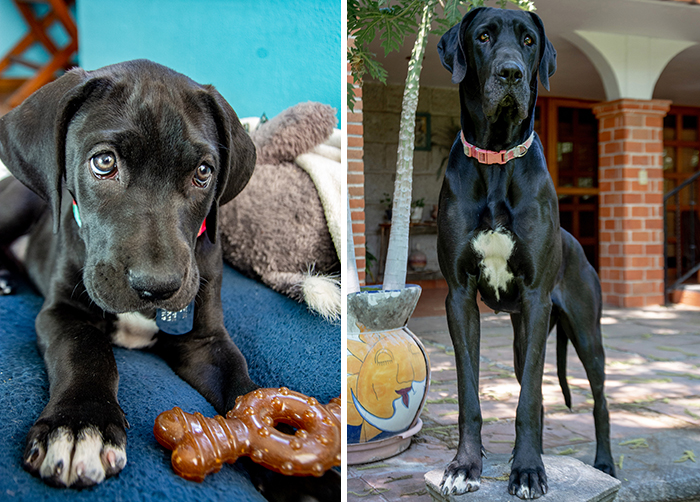 Tina When She Was Two Month Old And Then At Two Years Old