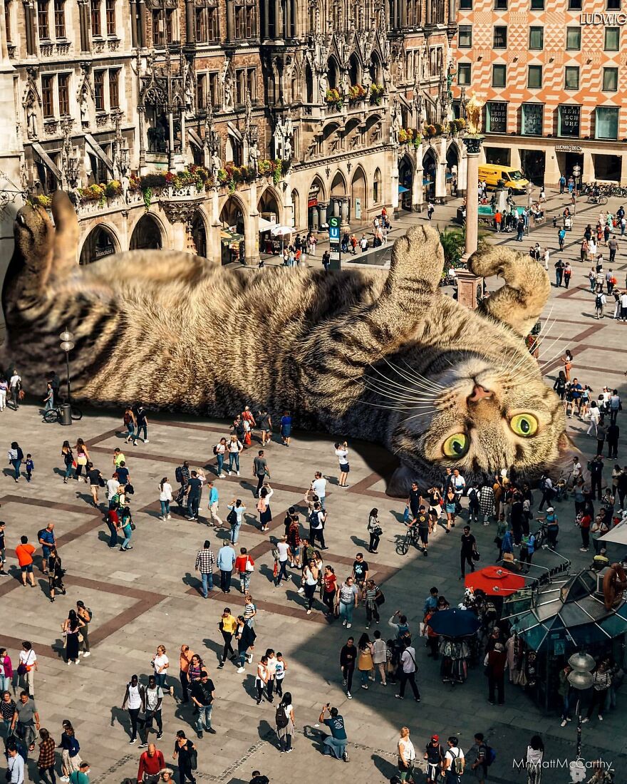 Artist Imagines The World With Giant Cats, And The Result Is Purrrfect