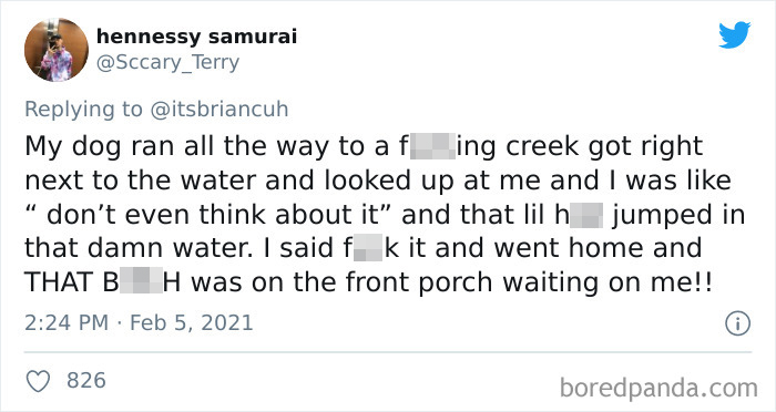 Chase-Dog-Down-The-Street-Game-Stories