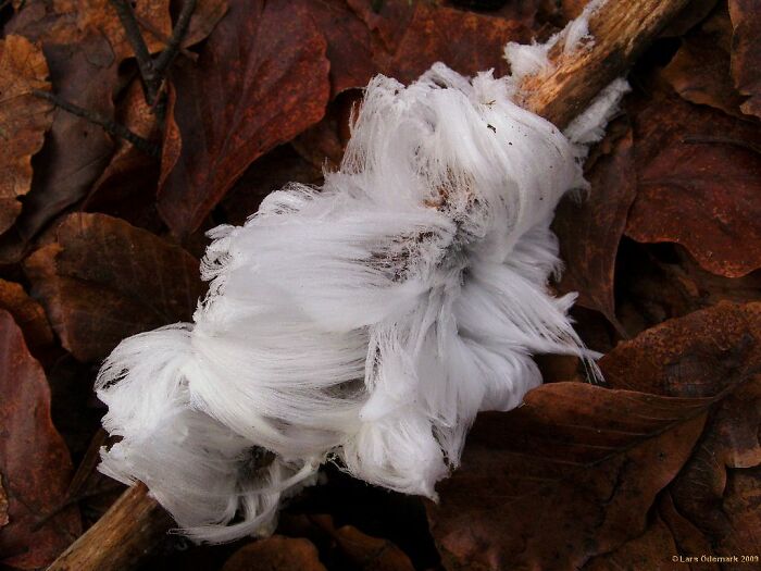 Found This And Posted It Alot, Its Long Melted Now