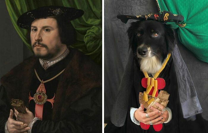 Portrait Of Francisco De Los Cobos Y Molina, 1530-1532 By Jan Gossaert vs. Portrait Of Finnegan The Australian Shepherd, 2020