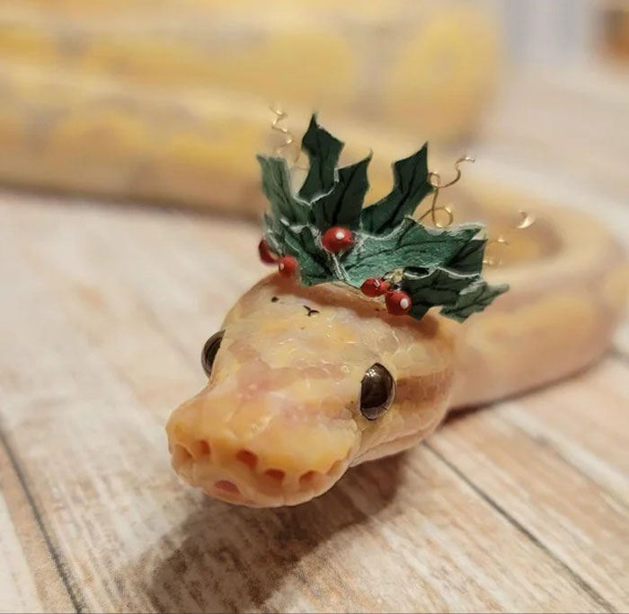 Snake wearing a festive hat with leaves and berries, showcasing the quirky trend of hats on snakes.