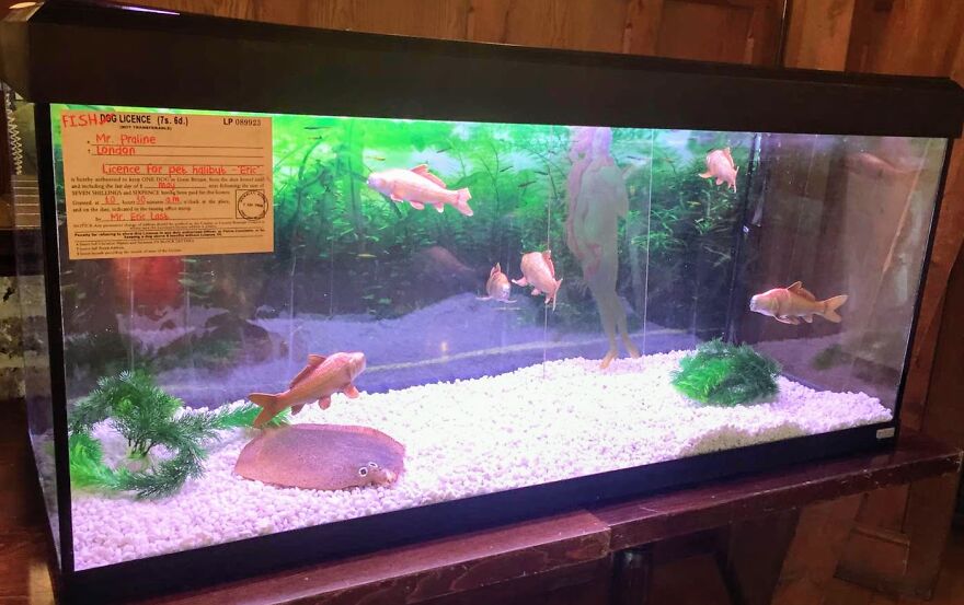 50 Reasons Why Our Wedding Will Always Be The Most Heavily Themed Monty Python Wedding Of All Time