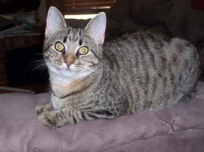 My 16th Birthday Present, Who Gave Me The Best Ten Years Of Love. Miss Her Every Day.