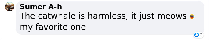 10 Mythical Whales Icelandic Folklore Wants You To Avoid Calling By Their Name