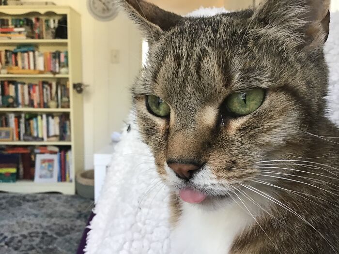 Hannah Sticking Her Tongue Out At Me