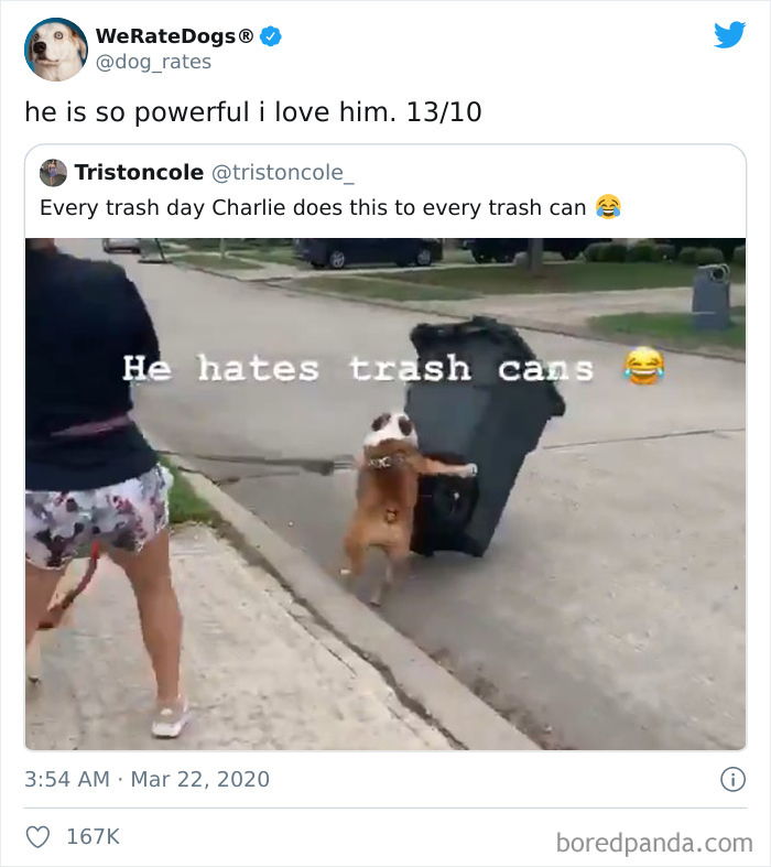 We-Rate-Dogs-Twitter
