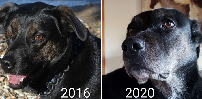 Time Flies For Him So Much Faster Than For Me...