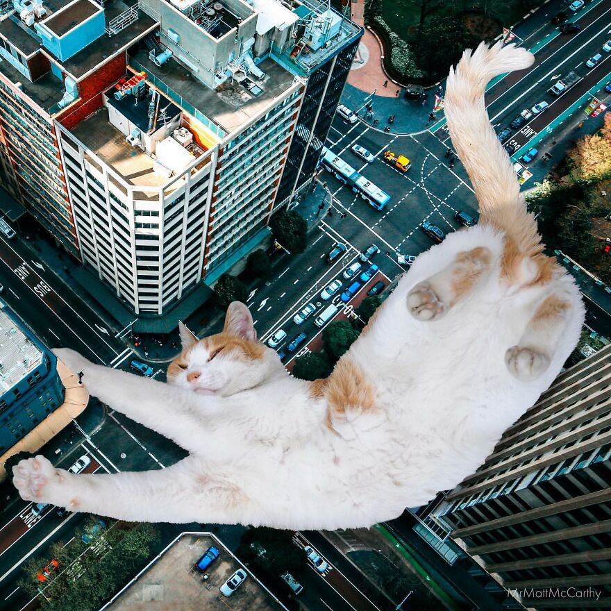 Artist Imagines The World With Giant Cats, And The Result Is Purrrfect