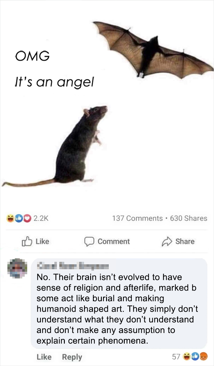 Stop The Assumptions Now