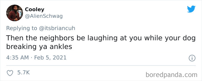 Chase-Dog-Down-The-Street-Game-Stories