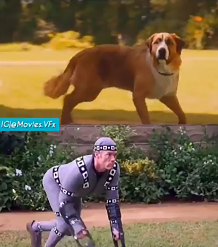 The Call Of The Wild (2020)