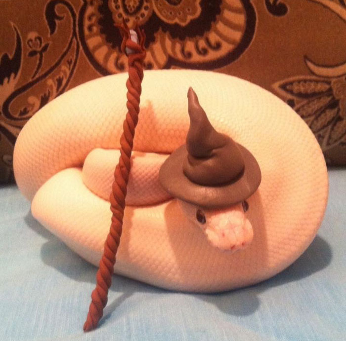 A coiled snake wearing a small wizard hat next to a tiny staff, showcasing a fun hats on snakes trend.