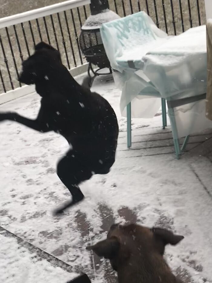 Practicing For The Olympics!