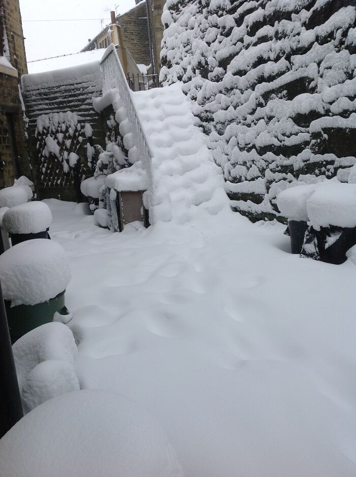 2013 - View From My Back Door. Been Hoping For The Same Amount Ever Since