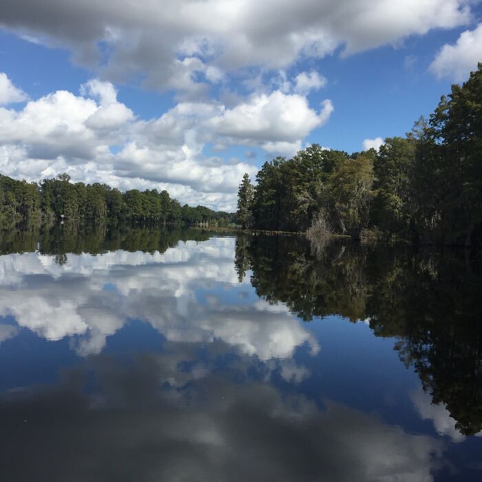 Hillsborough River, Tampa Florida