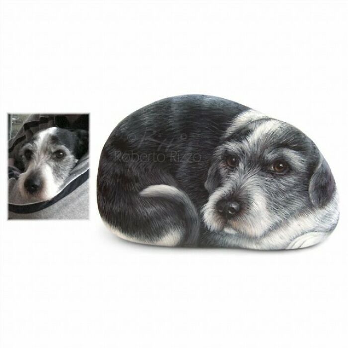 Hand-Painted-Rocks-Stone-Art-Animals-Robertorizzoart