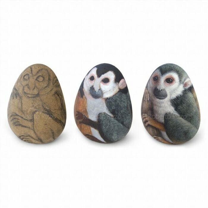 Hand-Painted-Rocks-Stone-Art-Animals-Robertorizzoart