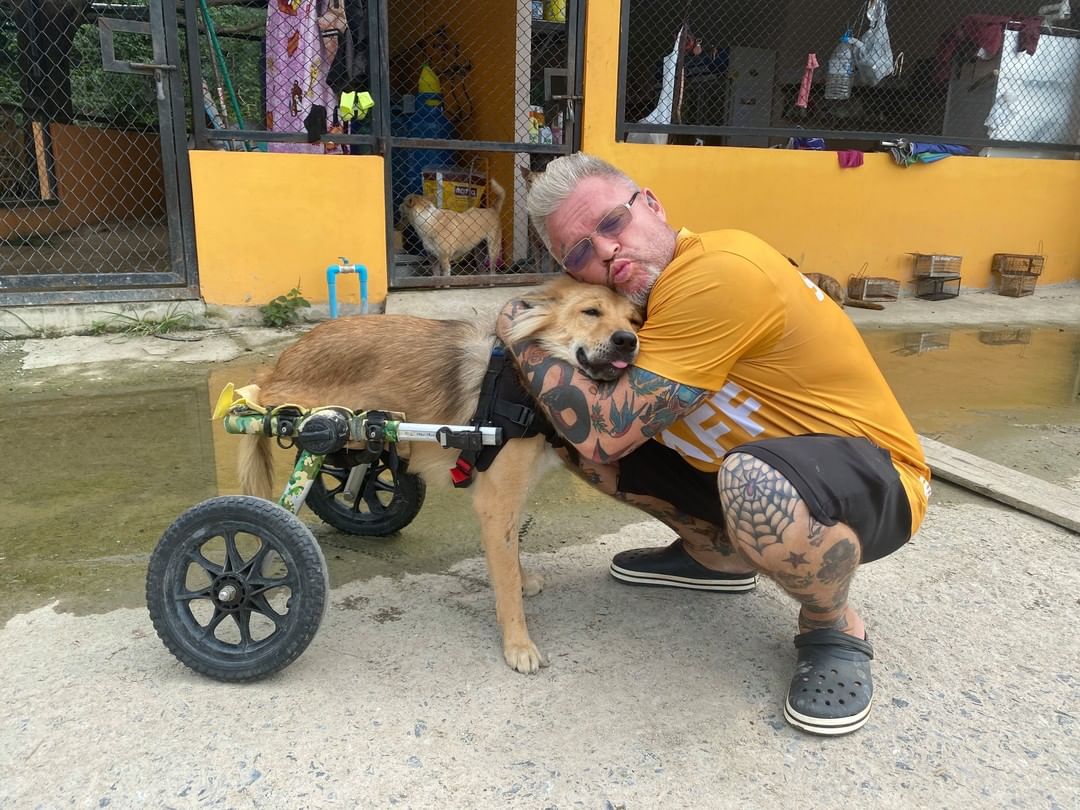 This Thai Animal Shelter Nurses Disabled Dogs Back To Life With The Help Of Vets And Wheelchairs