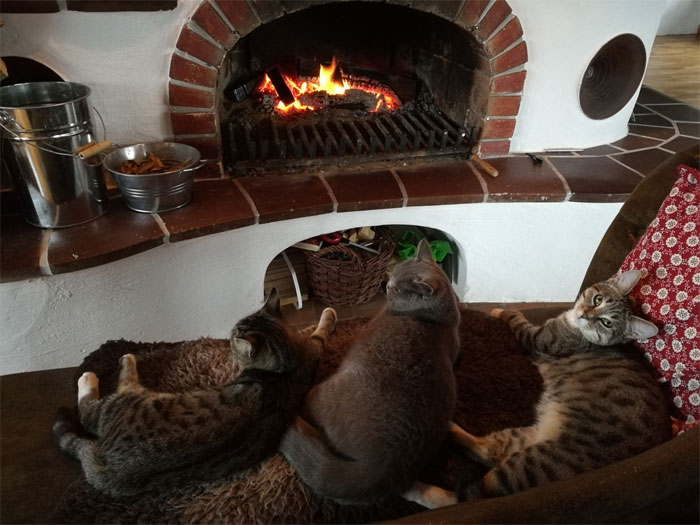 Woman Shares Her Joys And Difficulties Of Living In A 1482 Medieval Castle