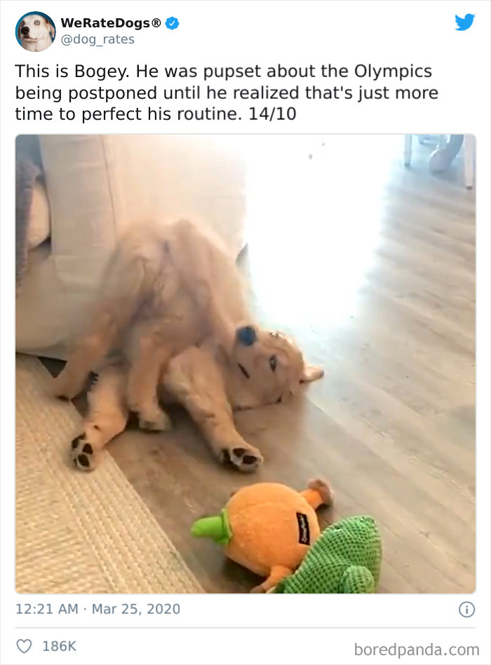 We-Rate-Dogs-Twitter