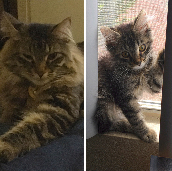 Big Rick Is Almost 4 Years Old Now.