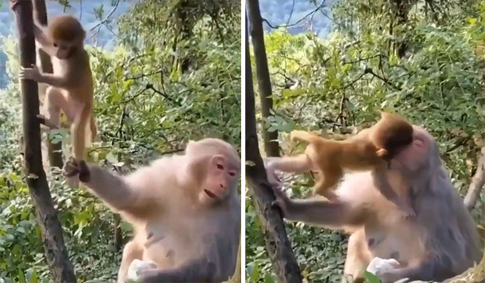 Showing Affection For Mother