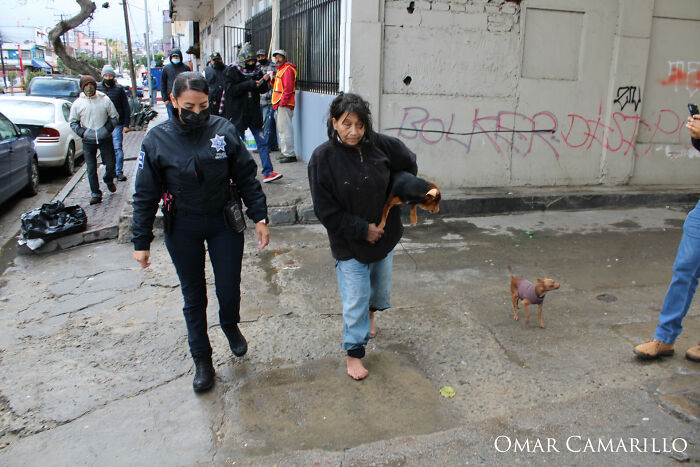 Homeless Woman Found In A Garbage Bag On The Street With 6 Dogs Refuses To Go To A Shelter Because They Don't Allow Pets