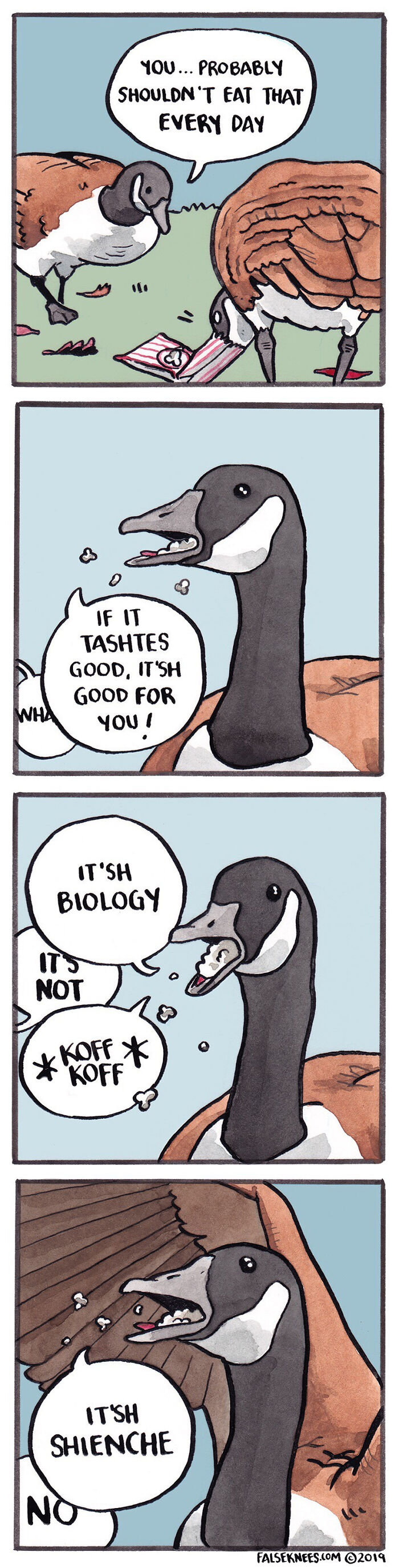 Animals-Birds-Comics-False-Knees