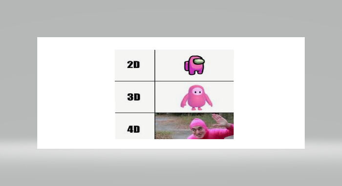 2D 3D 4 What