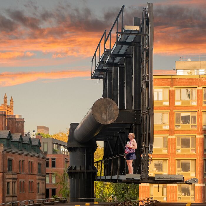 When The Trees Are Gone (Portfolio, 1st Place, Discovery Of The Year)