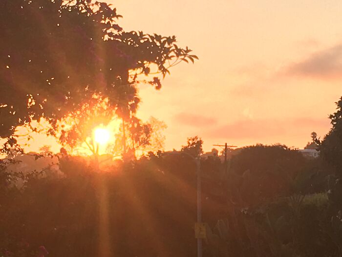 Sunset Near My House