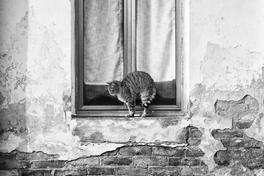 Stretching - Uuhhhhh That Was Quite A Nap!