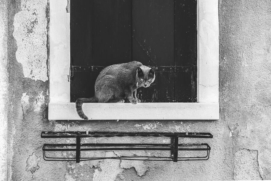 No, I'm Not Signing A Disclaimer