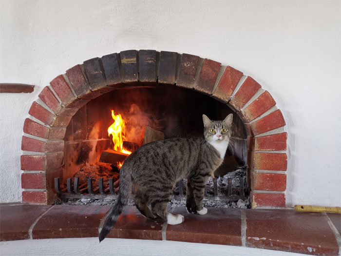 Woman Shares Her Joys And Difficulties Of Living In A 1482 Medieval Castle