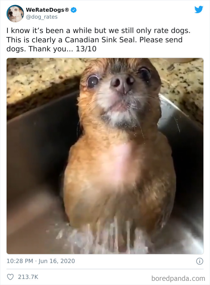 We-Rate-Dogs-Twitter