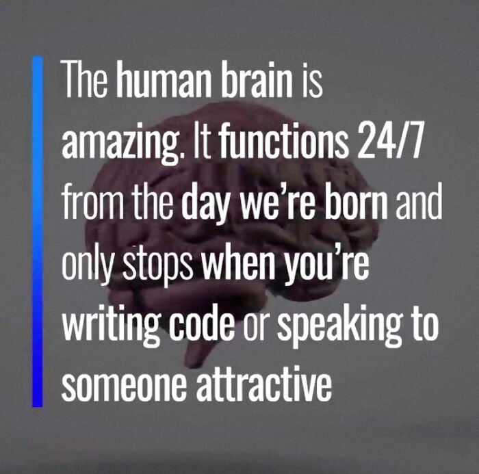 Human Brain