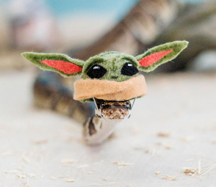 Snake wearing a cute, handmade hat with green ears and black eyes.