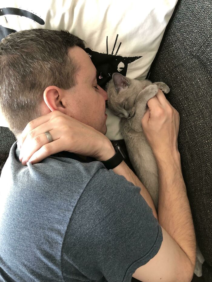 Fell Asleep Next To Blue. Wife Says She Has Competition