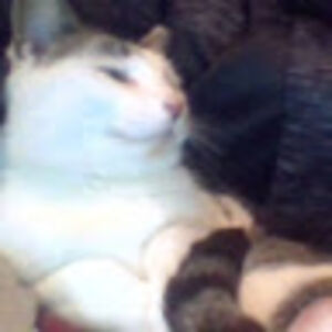 sydneywalker-nies avatar