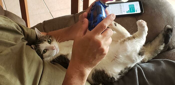 Just My Hubby And His Girlfriend. Looking At Me Like I'm The Side Chick