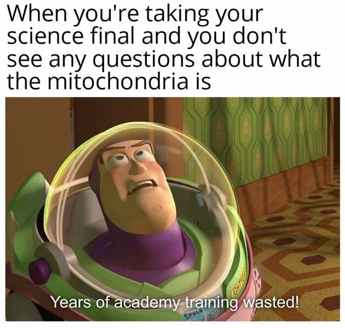 Some Biology Meme