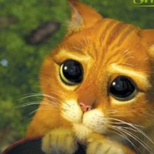 Ольга Воложанина