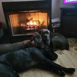 kimmurphywiggins1 avatar