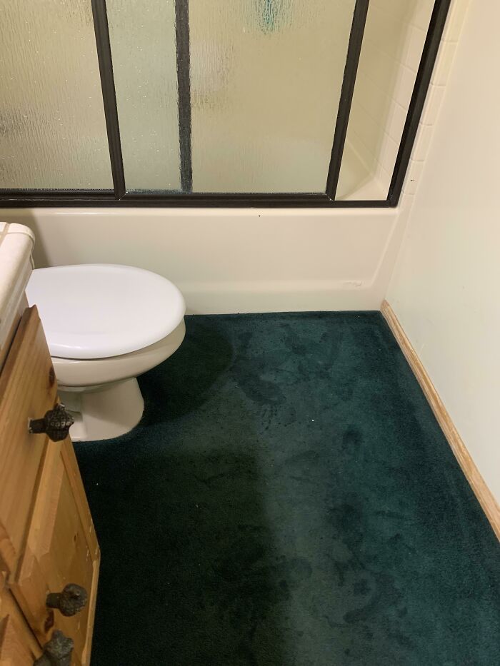 I Don't Think I Need To Explain This One