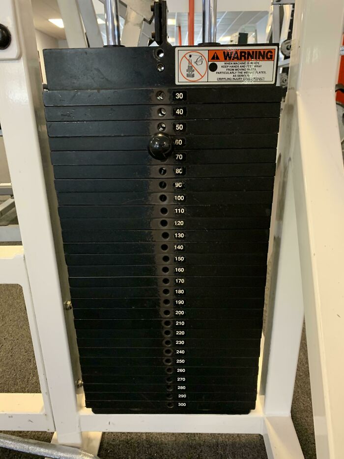 The Wear On The Weights In My Gym Created A Normal Distribution