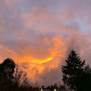 natalienelson_1 avatar